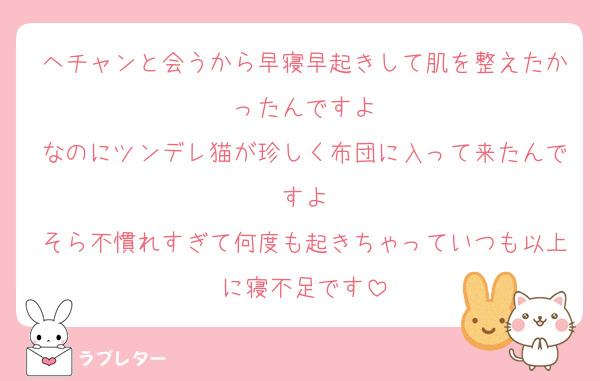 ヘチャンと会うから早寝早起きして肌を整えたかったんですよ
なのにツンデレ猫が珍しく布団に入って来たんですよ
そら不慣れすぎて何度も起きちゃっていつも以上に寝不足です