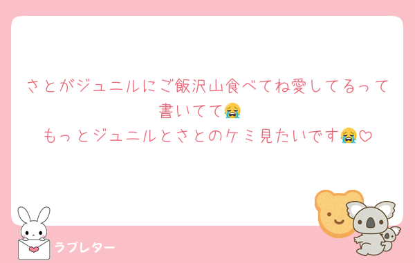 さとがジュニルにご飯沢山食べてね愛してるって書いてて😭
もっとジュニルとさとのケミ見たいです😭