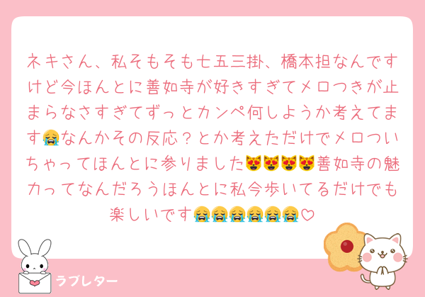 ネキさん、私そもそも七五三掛、橋本担なんですけど今ほんとに善如寺が好きすぎてメロつきが止まらなさすぎてずっとカンペ何しようか考えてます😭なんかその反応？とか考えただけでメロついちゃってほんとに参りました😻😻😻😻善如寺の魅力ってなんだろうほんとに私今歩いてるだけでも楽しいです😭😭😭😭😭😭