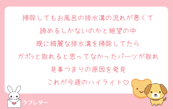 掃除してもお風呂の排水溝の流れが悪くて
諦めるしかないのかと絶望の中
既に綺麗な排水溝を掃除してたら
ガポｯと取れると思ってなかったパーツが取れ
見事つまりの原因を発見
これが今週のハイライト