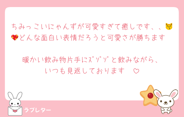 ちみっこいにゃんずが可愛すぎて癒しです、、😽💖どんな面白い表情だろうと可愛さが勝ちます🥹
暖かい飲み物片手にｽﾞｿﾞｿﾞと飲みながら、いつも見返しております🫧