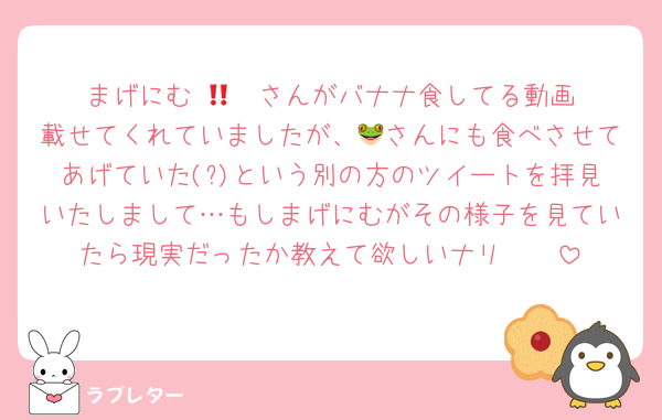まげにむ‼️🐻‍❄️さんがバナナ食してる動画載せてくれていましたが、🐸さんにも食べさせてあげていた(?)という別の方のツイートを拝見いたしまして…もしまげにむがその様子を見ていたら現実だったか教えて欲しいナリ🥲🥲