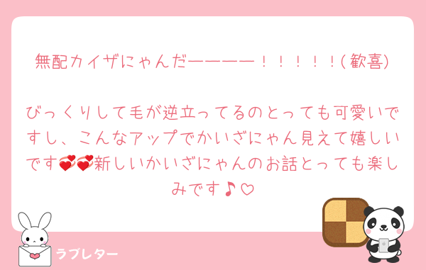 無配カイザにゃんだーーーー！！！！！(歓喜)
びっくりして毛が逆立ってるのとっても可愛いですし、こんなアップでかいざにゃん見えて嬉しいです💞💞新しいかいざにゃんのお話とっても楽しみです♪