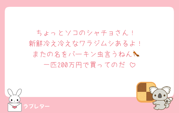 ちょっとソコのシャチョさん！
新鮮冷え冷えなワラジムシあるよ！
またの名をバーキン虫言うねん🐜
一匹200万円で買ってのだ♡
