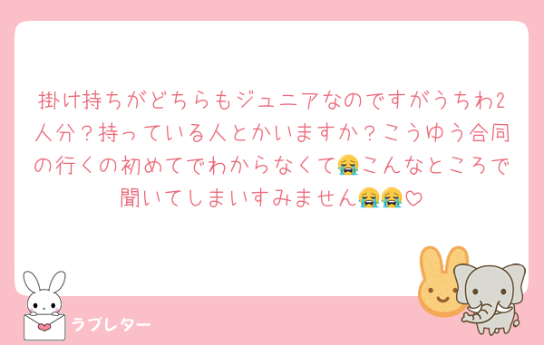 掛け持ちがどちらもジュニアなのですがうちわ2人分？持っている人とかいますか？こうゆう合同の行くの初めてでわからなくて😭こんなところで聞いてしまいすみません😭😭