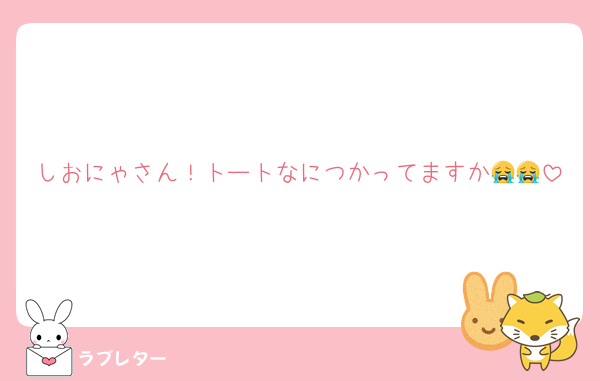 しおにゃさん！トートなにつかってますか😭😭