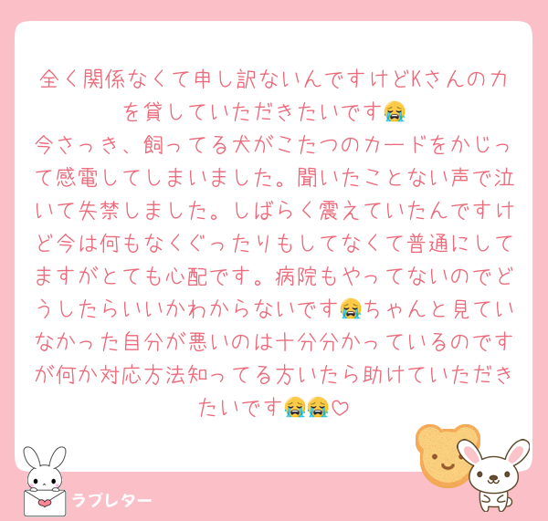 全く関係なくて申し訳ないんですけどKさんの力を貸していただきたいです😭
今さっき、飼ってる犬がこたつのカードをかじって感電してしまいました。聞いたことない声で泣いて失禁しました。しばらく震えていたんですけど今は何もなくぐったりもしてなくて普通にしてますがとても心配です。病院もやってないのでどうしたらいいかわからないです😭ちゃんと見ていなかった自分が悪いのは十分分かっているのですが何か対応方法知ってる方いたら助けていただきたいです😭😭