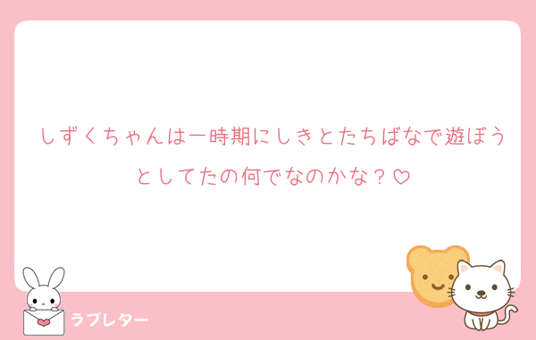 しずくちゃんは一時期にしきとたちばなで遊ぼうとしてたの何でなのかな？