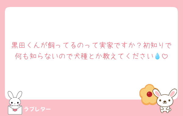 黒田くんが飼ってるのって実家ですか？初知りで何も知らないので犬種とか教えてください💧