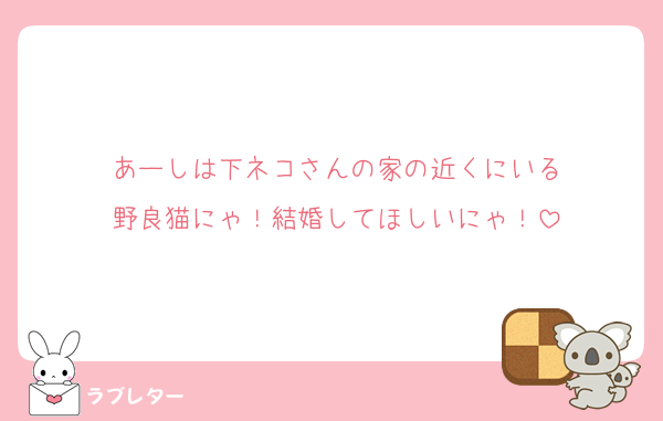 あーしは下ネコさんの家の近くにいる
野良猫にゃ！結婚してほしいにゃ！