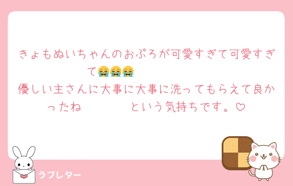 きょもぬいちゃんのおぷろが可愛すぎて可愛すぎて😭😭😭🩷🩷🩷🩷🩷
優しい主さんに大事に大事に洗ってもらえて良かったね〜〜🥰🩷という気持ちです。