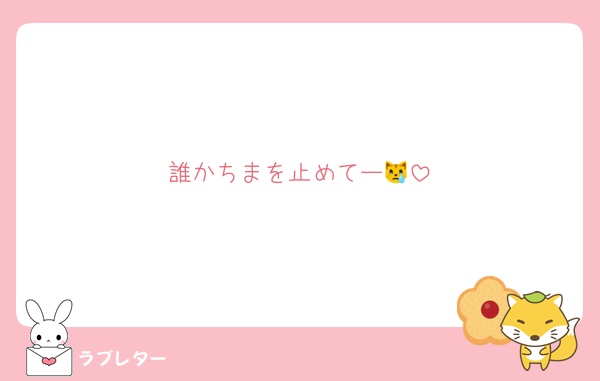 誰かちまを止めてー😿