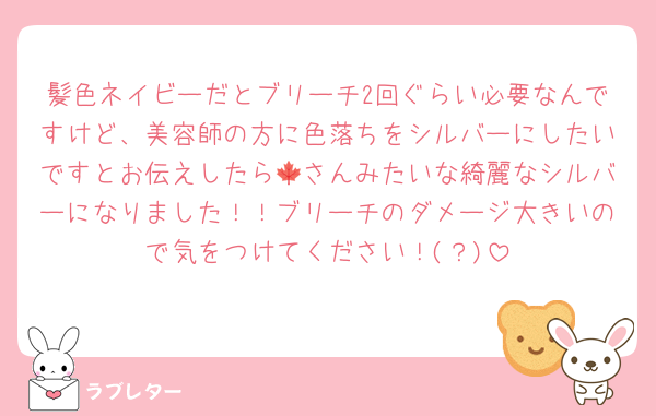 髪色ネイビーだとブリーチ2回ぐらい必要なんですけど、美容師の方に色落ちをシルバーにしたいですとお伝えしたら🍁さんみたいな綺麗なシルバーになりました！！ブリーチのダメージ大きいので気をつけてください！(？)